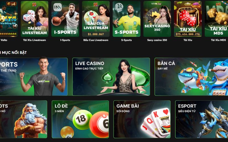 Lãnh đạo Ball88 Chu Quốc Bình